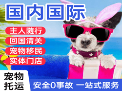 滋润机场货运国际宠物托运 【国